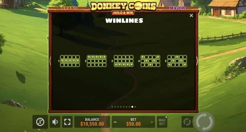 Donkey Coins Hold & Win - голема добивка во специјален режим